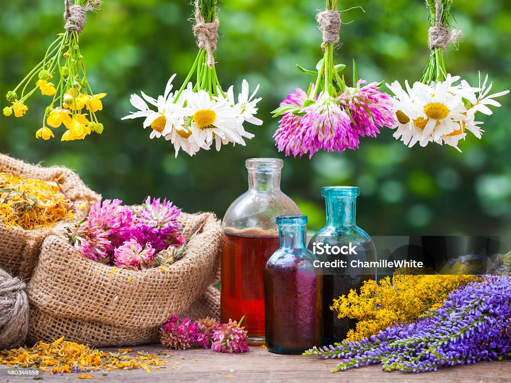 Healing herbs bunches, bottle of tincture, bags with dried plant Healing herbs bunches, bottle of oil or tincture, hessian bags with dried marigold and clover. Herbal medicine. 2015 Stock Photo