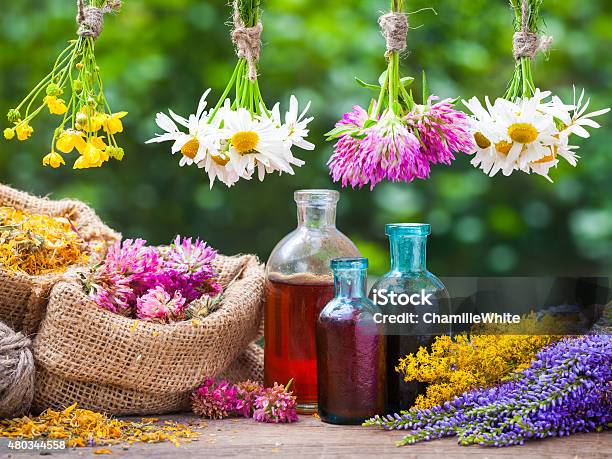Healing Herbs Bunches Bottle Of Tincture Bags With Dried Plant Stock Photo - Download Image Now
