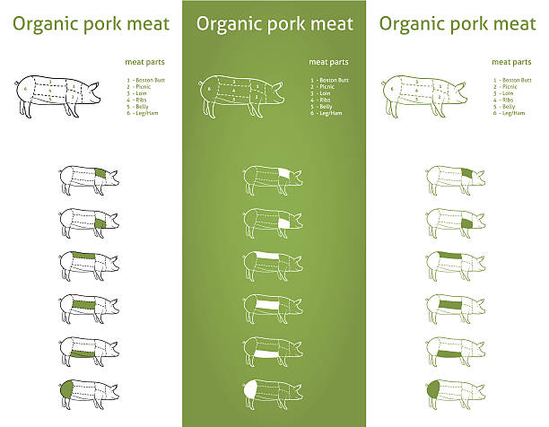 Organic pork meat cuts diagram set Set of meat cut parts icons for packaging and info-graphic animal muscle stock illustrations