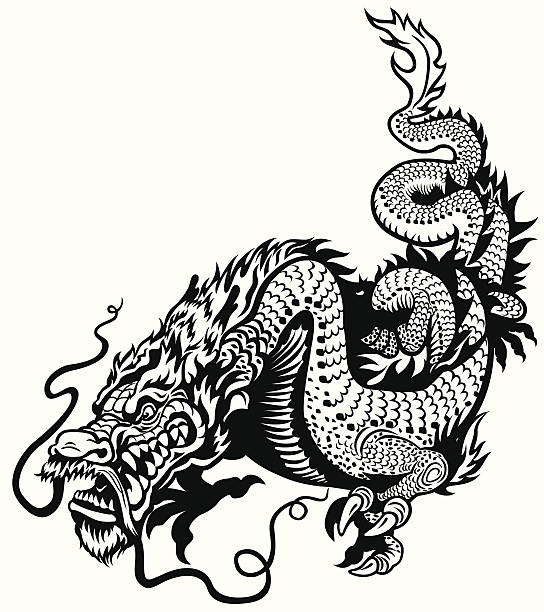 dragon black white dragon black and white tattoo illustration dragon tattoos stock illustrations