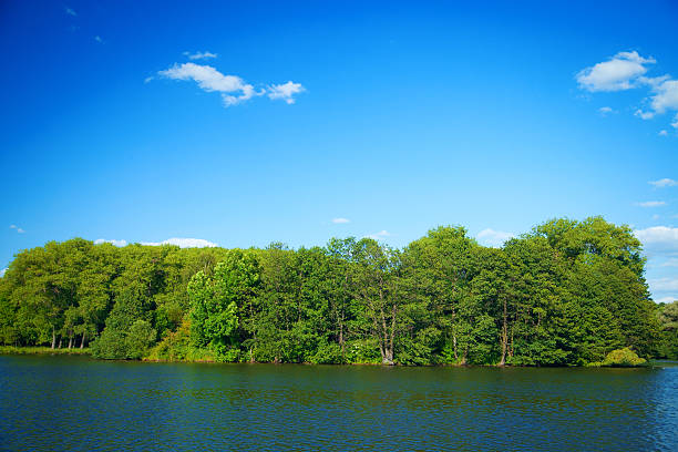 istock River flowing in the woods on a sunny summer day. 480347346