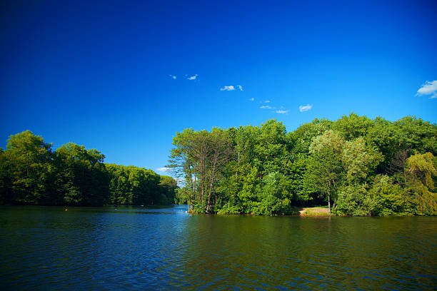 istock River flowing in the woods on a sunny summer day. 480347348