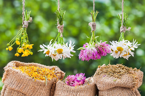 istock Healing herbs and hessian bags with dried plants 480348568