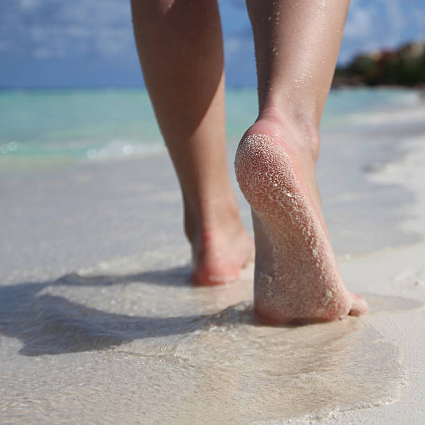 istock Female Feet on Tropical Sand Beach. Legs Walking 480350696