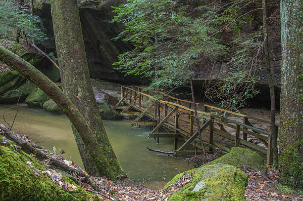 istock Old foot bridge at Dismals Canyon 480351038