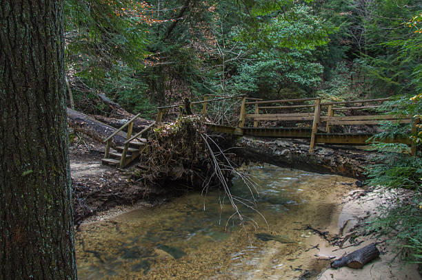 istock Foot Bridge Dismals Canyon Mossy Cliffs and Rocks 480351054