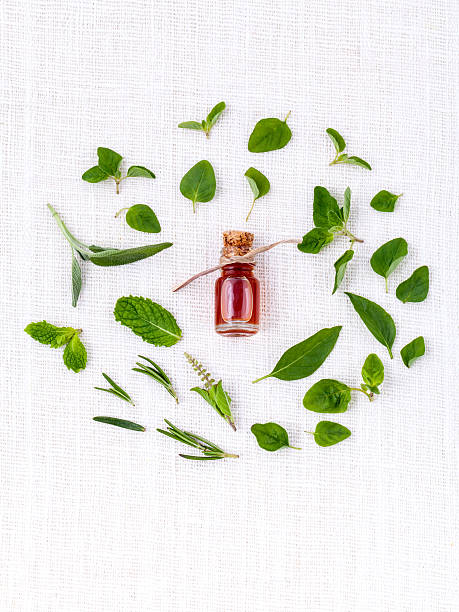 istock Bottle of essential oil . 480354866