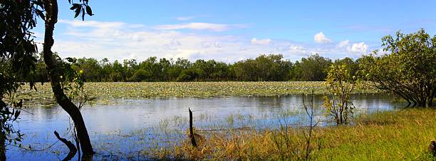 istock limmen national park, northern territory, australia 480355666