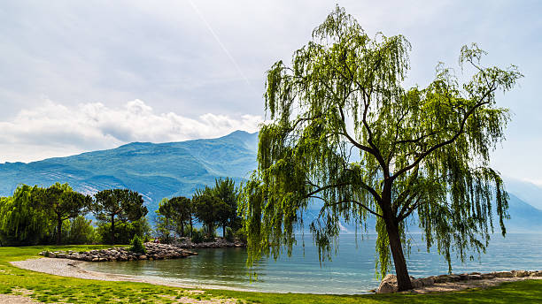 istock Lake of Garda, italy 480357018