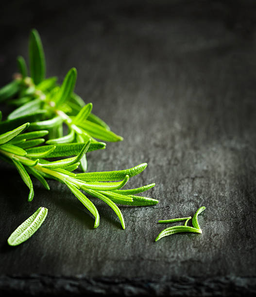 istock Fresh rosemary on a black background 480357560