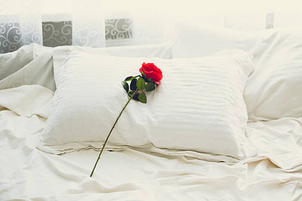 istock Toned shot of red rose lying on bed at morning 480361484