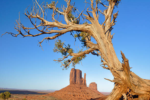 istock Monument Valley in Utah, USA 480361541