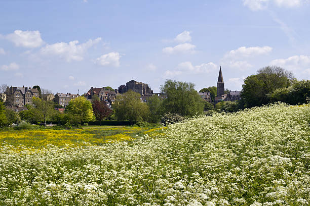 istock Picturesque Wiltshire, Malmesbury Abbey 480361958