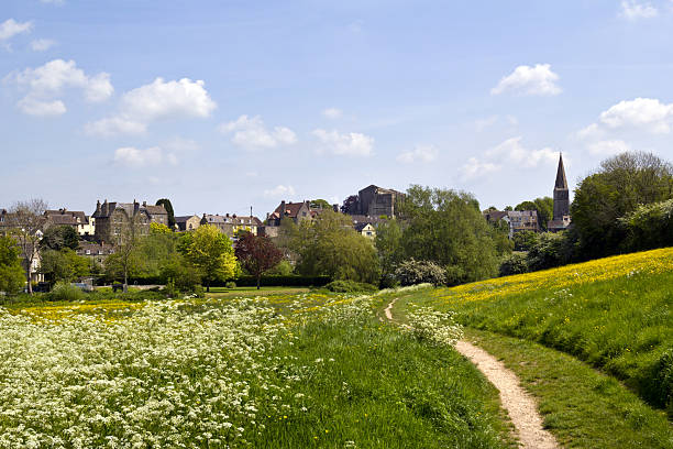 Picturesque Wiltshire, Malmesbury Abbey View across fields to historic Malmesbury Abbey and the town in spring sunshine in the Cotswolds,Wiltshire, UK wiltshire stock pictures, royalty-free photos & images