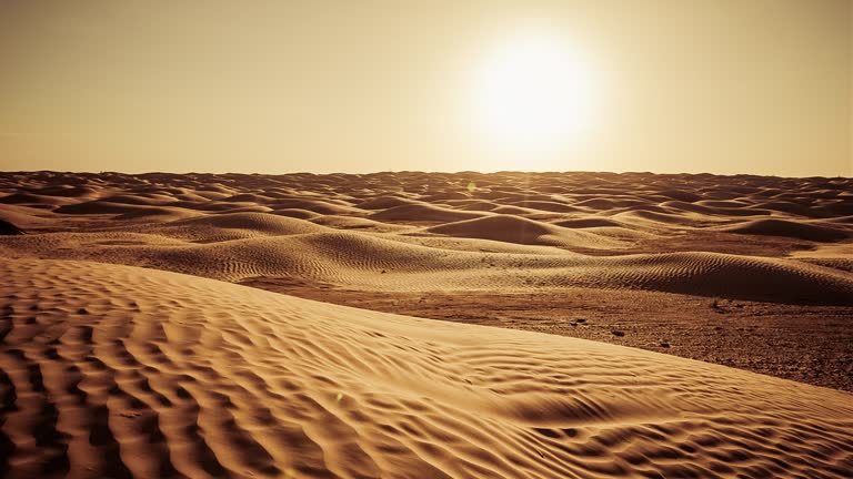 Sunset on Sahara Desert / Grand Erg Oriental / Tunisia