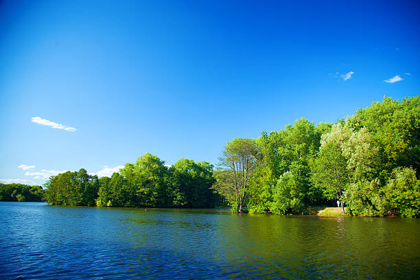 istock River flowing in the woods on a sunny summer day. 480362450