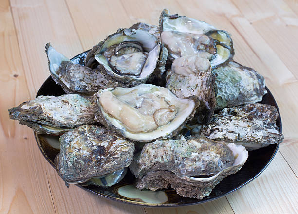 istock Fresh oysters in plate on wooden table 480363932