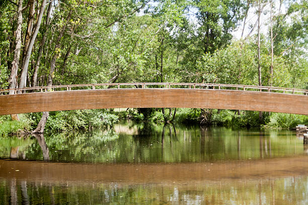 Modern wooden bridge over a quiet river. Front view of wooden bridge over a quiet steady river in the sunlight, part of a mountain trail in the forest,  tree trunks in the background. Lugo province, Galicia, Spain. footbridge stock pictures, royalty-free photos & images