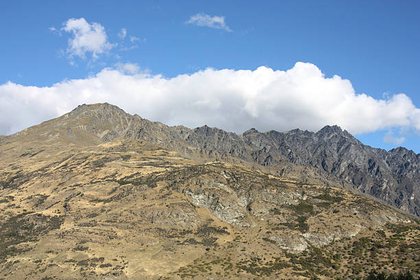 istock New Zealand 480369491