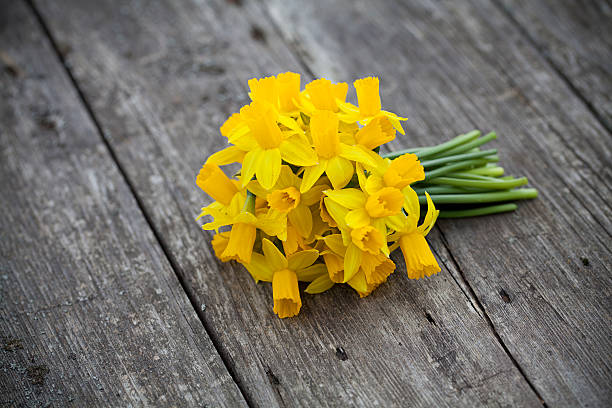 istock narcissus flowers on wooden background 480371183