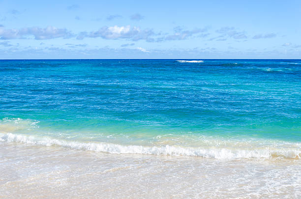 istock Ocean and tropical sandy beach background 480374160