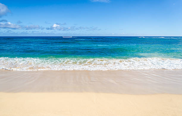 istock Ocean and tropical sandy beach background 480374164