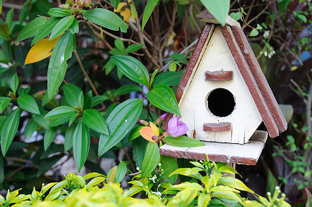 istock Cute house-birds in garden 480374315