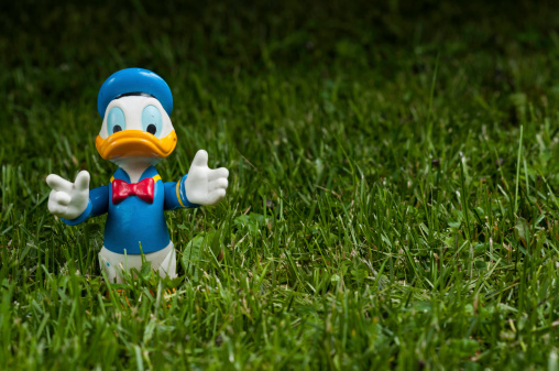 Lahti, Finland - June 15, 2013: Donald Duck opened arms on green grass