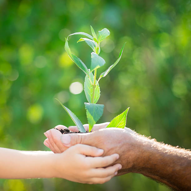 istock Young plant against green background 480379045