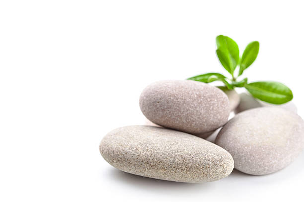 stones and green leaves closeup on white background
