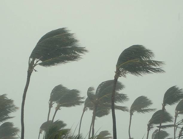 tropical storm - hurricane stock-fotos und bilder