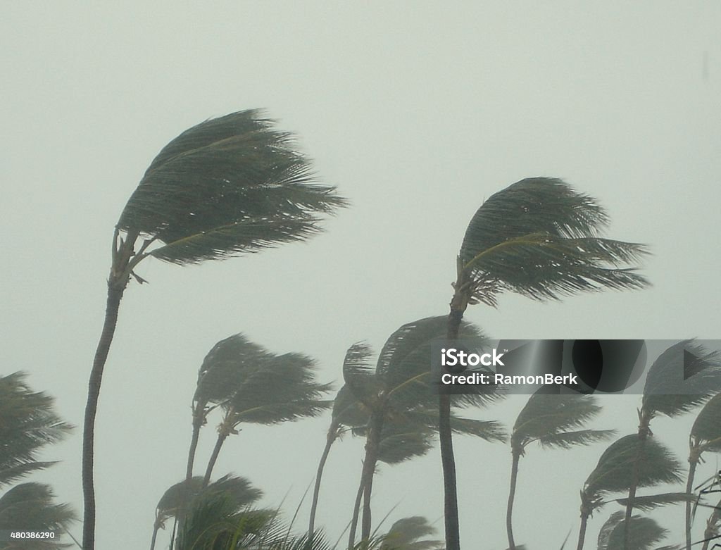 Tormenta tropical - Foto de stock de Huracán libre de derechos