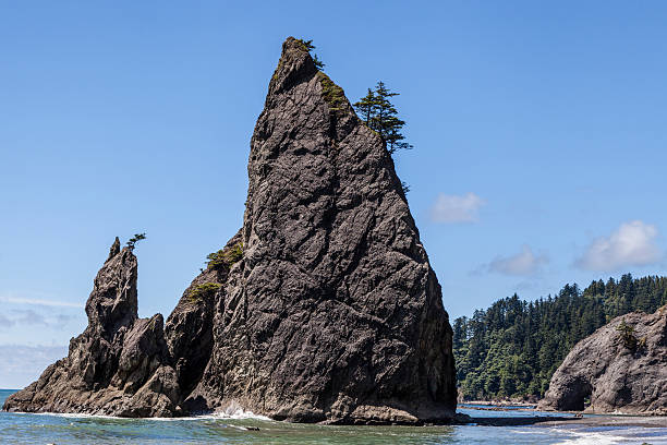 istock Sea Stacks at Rialto Beach 480386455