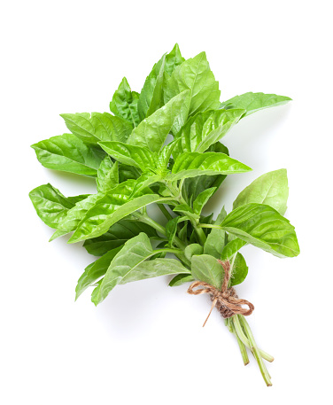 The hand holds a bunch of green basil