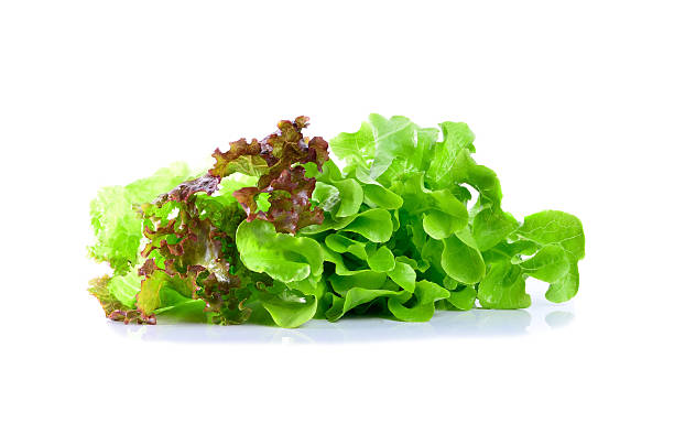 istock fresh  lettuce leaves isolated on white 480391242