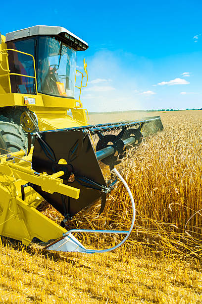 istock yellow  combine harvester in work on wheat field 480392071