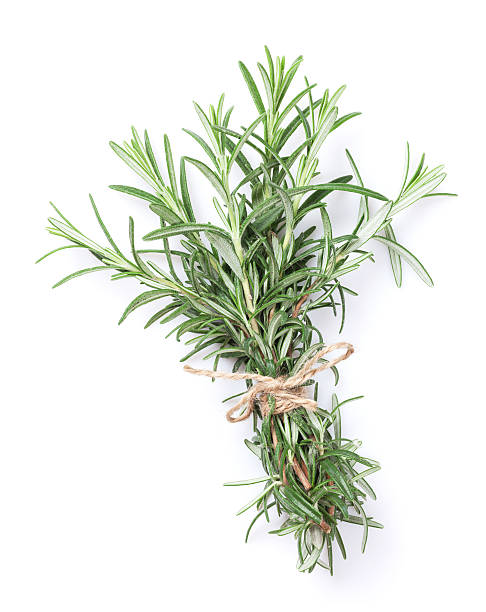 istock Fresh garden herbs. Rosemary 480392406