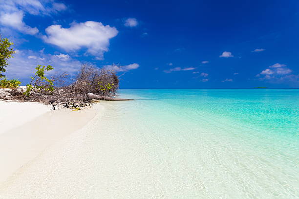 istock Maldives,  tropical sea background 480393596