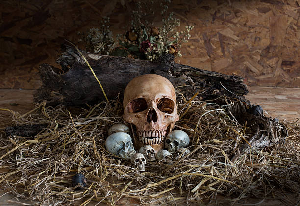 istock Skull and her child in the straw nest, 480396268