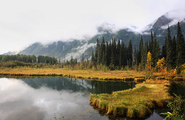 istock Reflections on a British Columbia lake 480397705