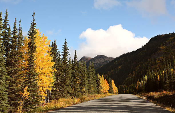 istock Autumn colors along British Columbia road 480397715