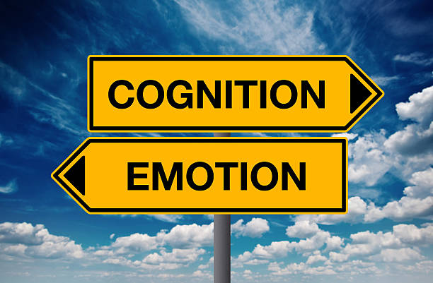 istock Cognition versus Emotion, Concept of Choice 480400888