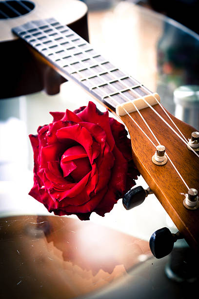 istock Red rose and Ukulele. Vintage style. 480404462