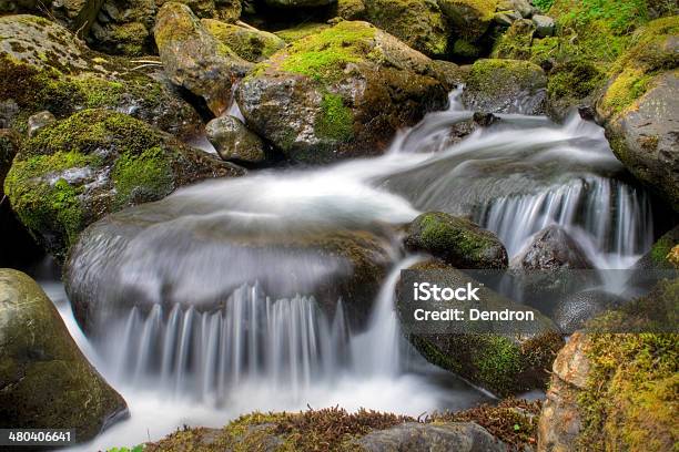 Bunch Creek Falls Stock Photo - Download Image Now - Adventure, Autumn, Beauty