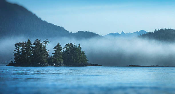 istock Morning Mist in Tofino, British Columbia, Canada 480408018