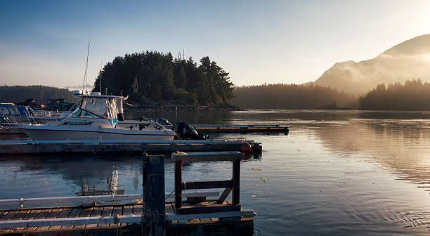 istock Sunrise in Tofino, British Columbia, Canada 480408150