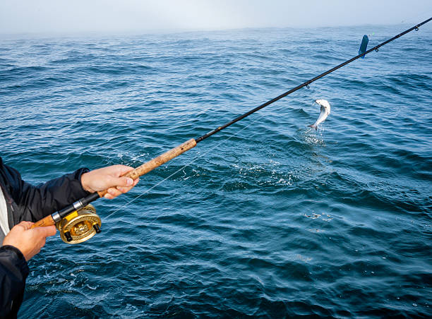 istock Deep Sea Fishing 480408576