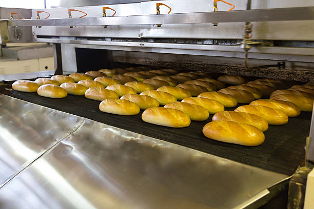 istock Production of bread in factory 480409237