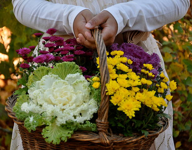 istock Basket of flowers 480409555