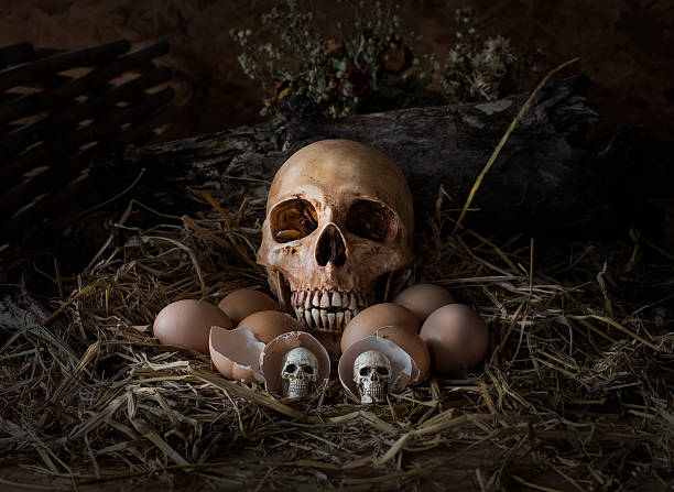 istock Skull and eggs in the straw nest, Still life style 480411490